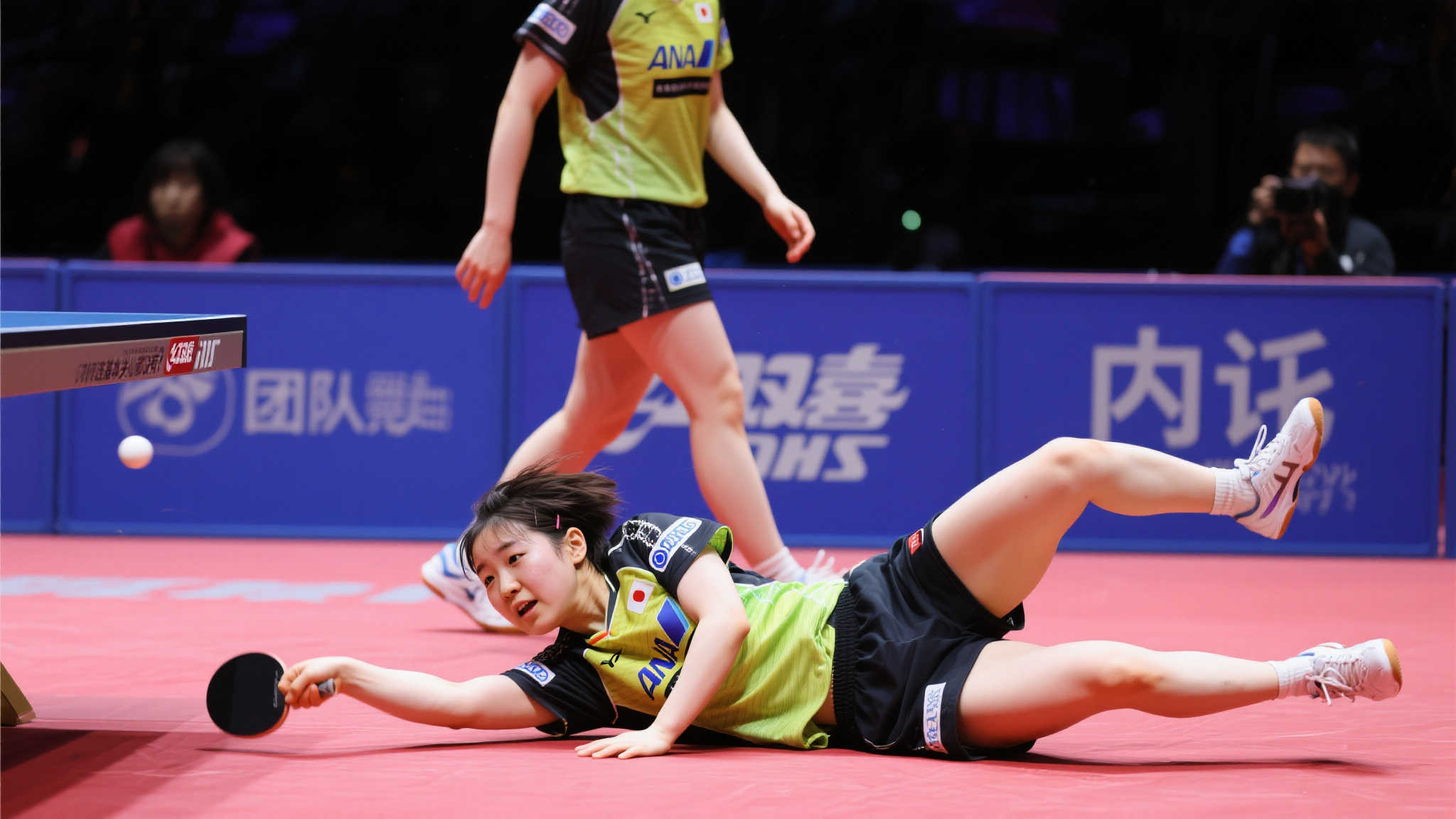 们不容错过 们不容错过